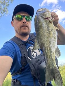 Largemouth Bass
