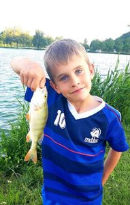 European Perch