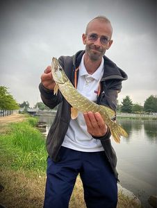 Northern Pike