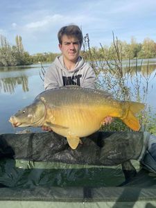 Leather Carp