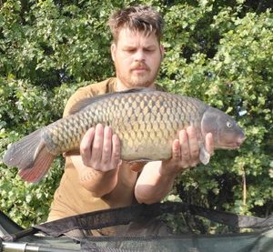 Common Carp