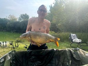 Common Carp