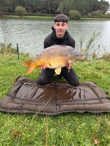Mirror Carp