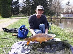 Mirror Carp