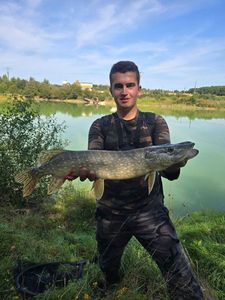 Northern Pike
