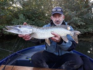 Northern Pike