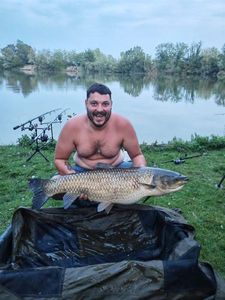 Grass Carp