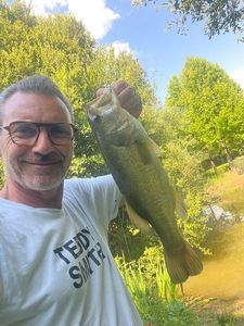 Largemouth Bass