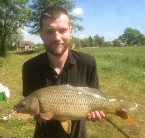 Common Carp