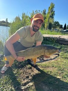 Common Carp