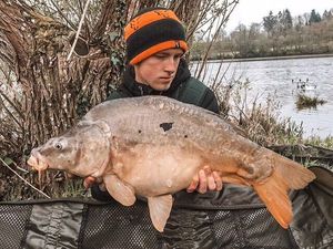 Mirror Carp