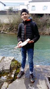 Rainbow Trout