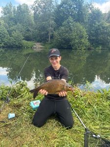 Common Bream