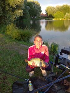 Common Carp