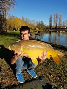 Mirror Carp