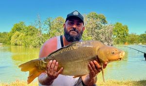 Mirror Carp