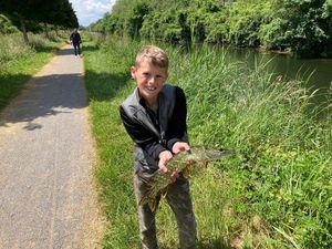 Northern Pike