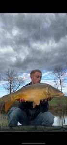 Leather Carp