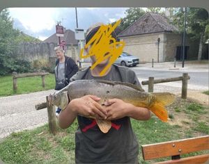 Leather Carp