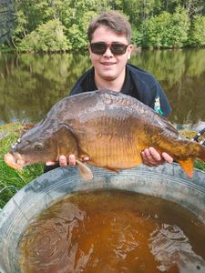 Common Carp