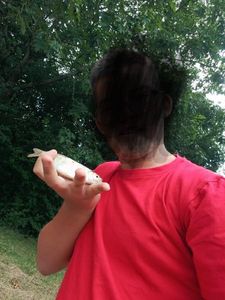 Roach