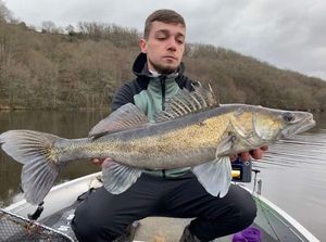 Zander
