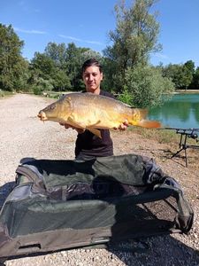 Mirror Carp