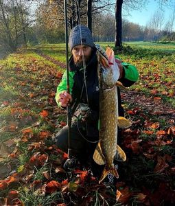 Northern Pike