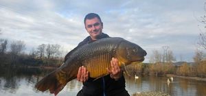 Mirror Carp