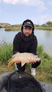 Common Carp