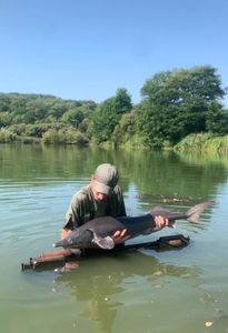 Sturgeon