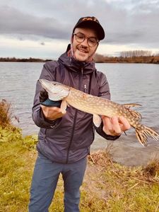 Northern Pike