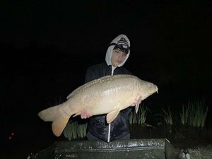 Mirror Carp