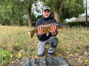 Common Carp