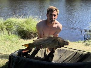 Common Carp
