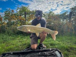Grass Carp