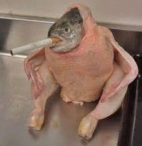 Chicken