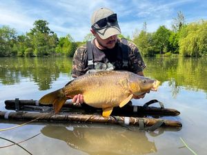 Mirror Carp