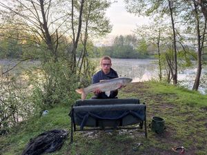 Grass Carp