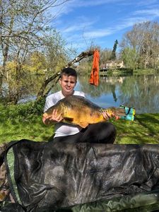 Mirror Carp