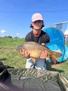 Mirror Carp