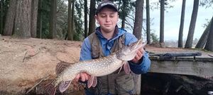 Northern Pike
