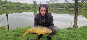 Mirror Carp