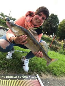 Zander