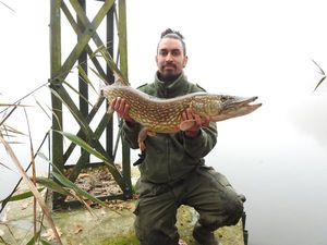 Northern Pike
