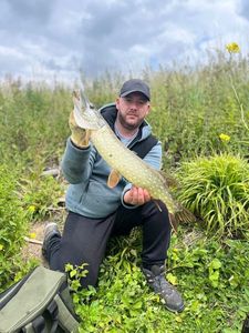 Northern Pike