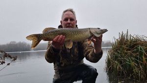 Northern Pike