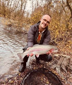 Rainbow Trout