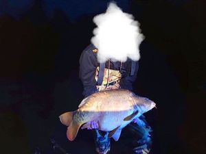 Mirror Carp