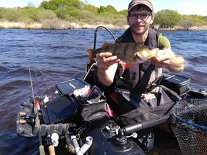 European Perch